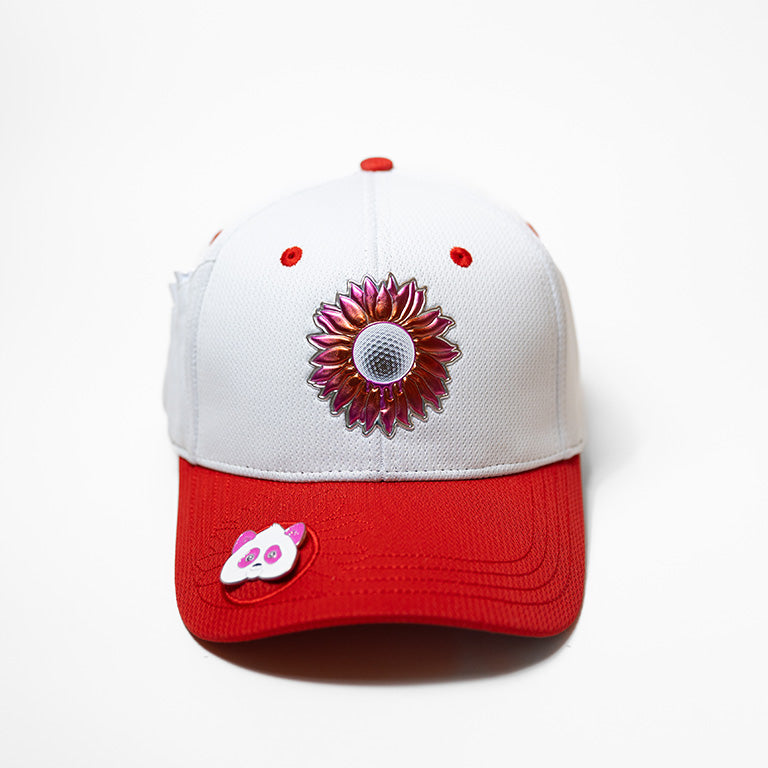 A single green leaf against a white background.