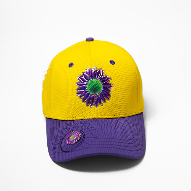 A single green leaf against a white background.