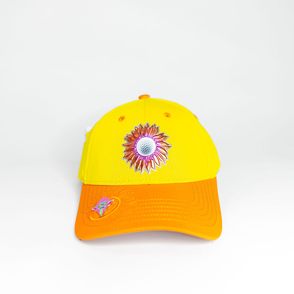 A single green leaf against a white background.